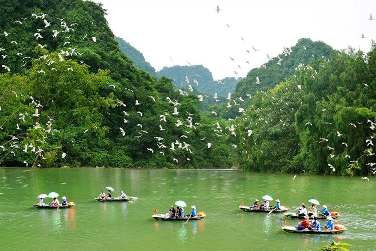 Tour Image